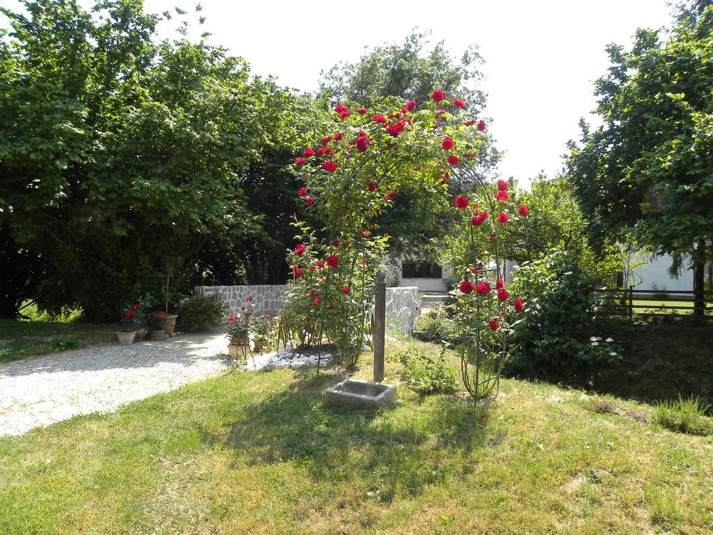 Mulinoantico