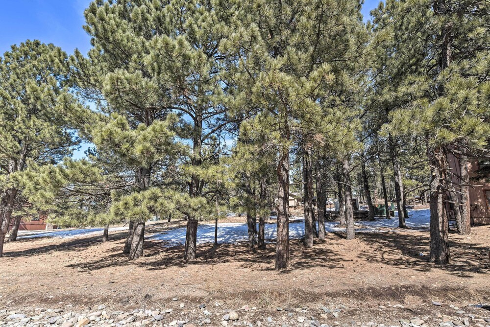 Angel Fire Condo w/ Fireplace < 1 Mi to Ski Resort