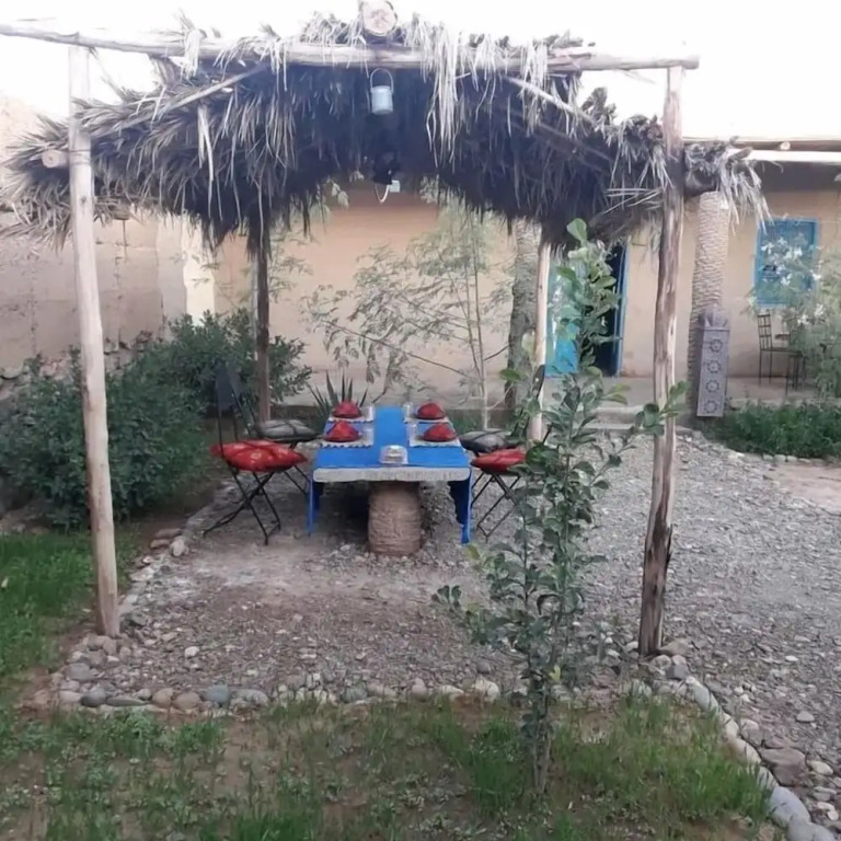 Dar Oasis Moringa