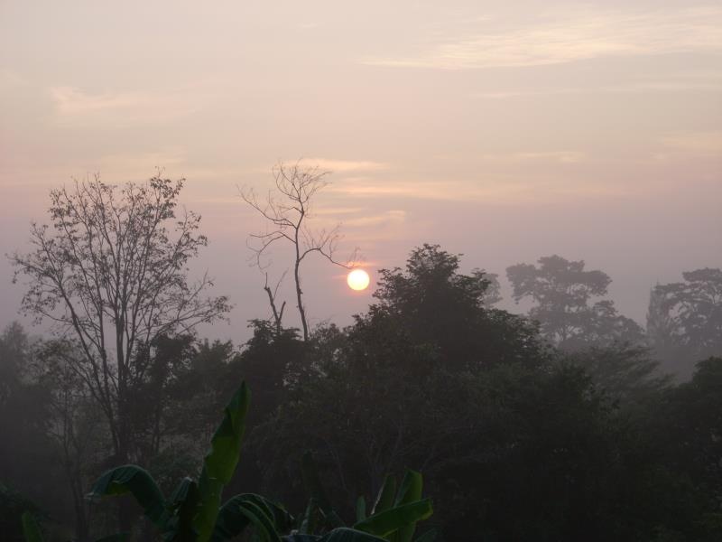 Rai Phuphapok