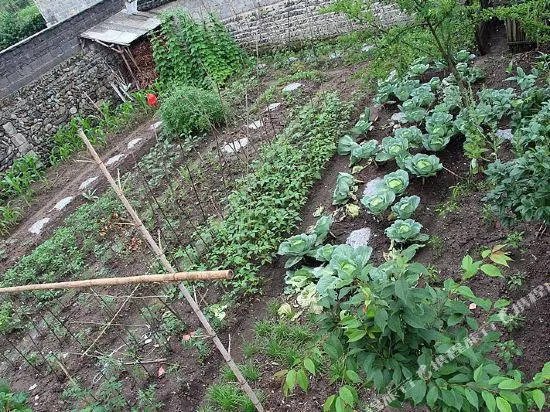 Matouqiang Hostel