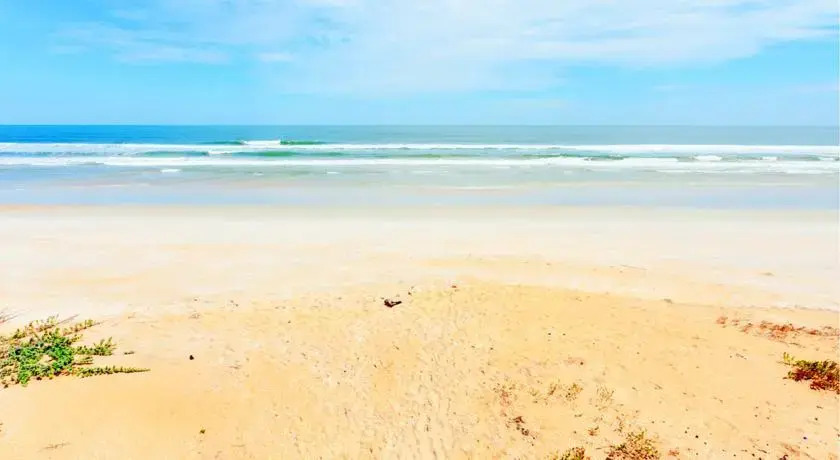 Flagler Sand Dollar by Vacation Rental Pros