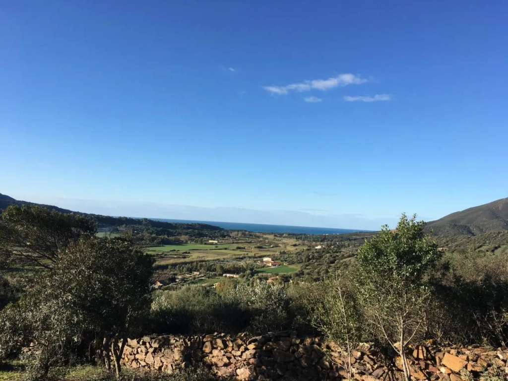 Majori