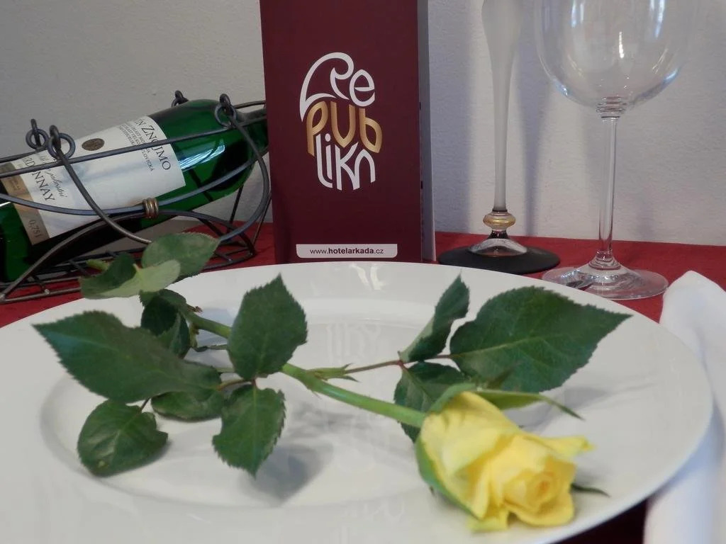 Hotel Pivoňka