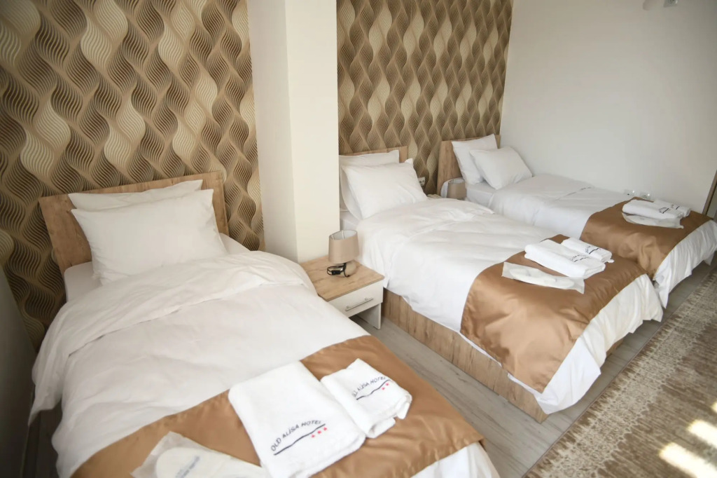 Hotel Old Alisa