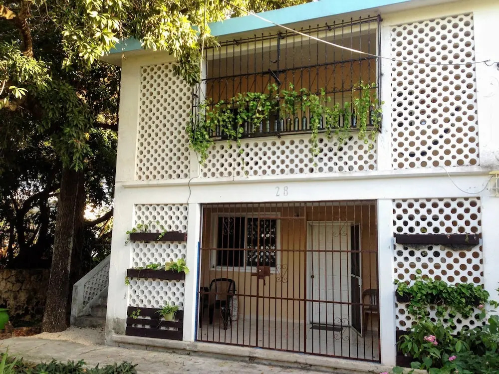 Casa MayaPlant