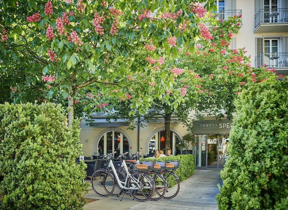 BEST WESTERN PLUS Hotel Speer Rapperswil