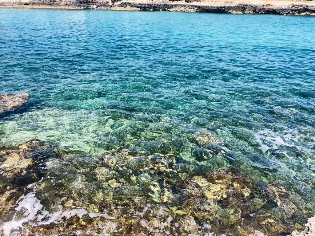 Suite Paraiso