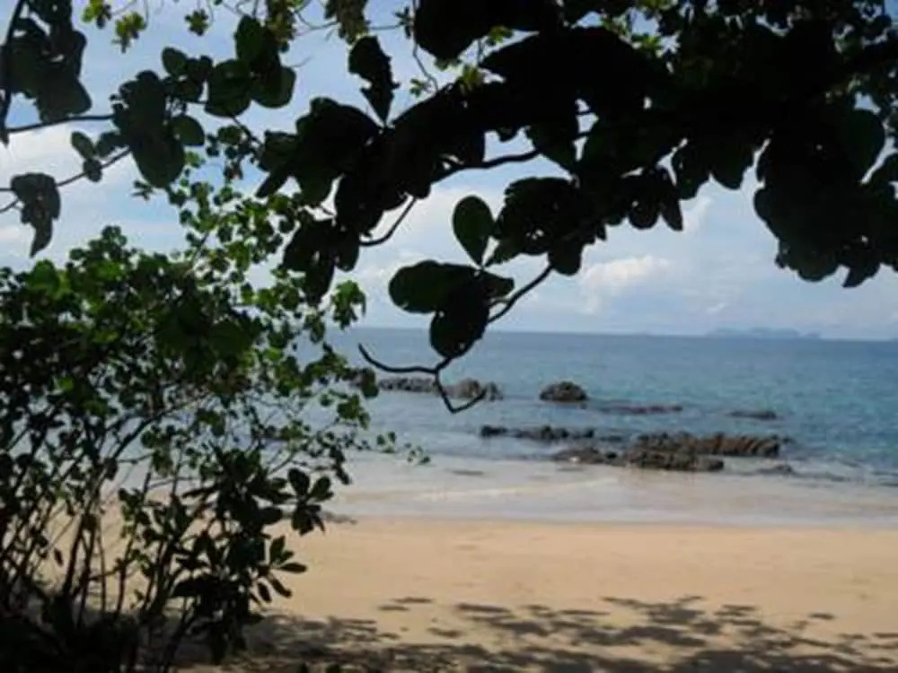 Loma Sea Views