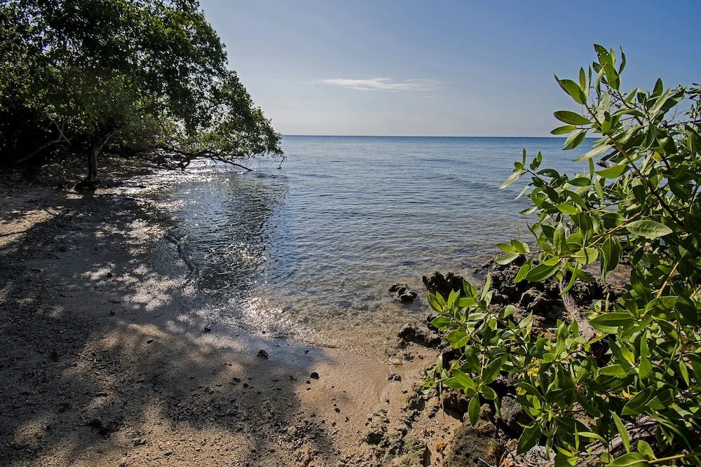 Isla Tijereto