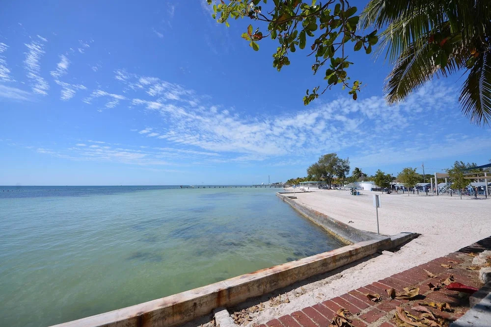 Palm Gardens