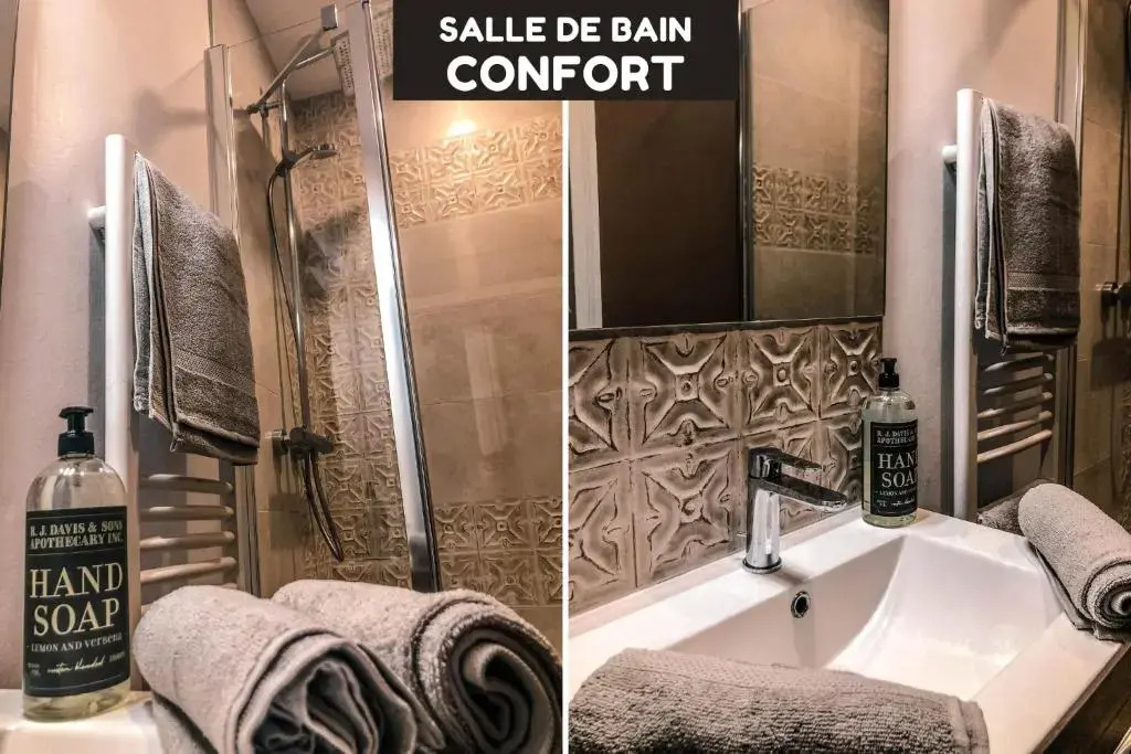 Le Lion d'Or - Appartement d'Exception - Hyper-Centre