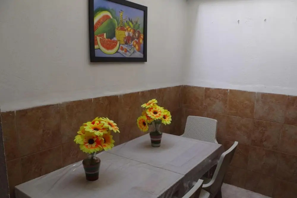 New Iguana House Hostel