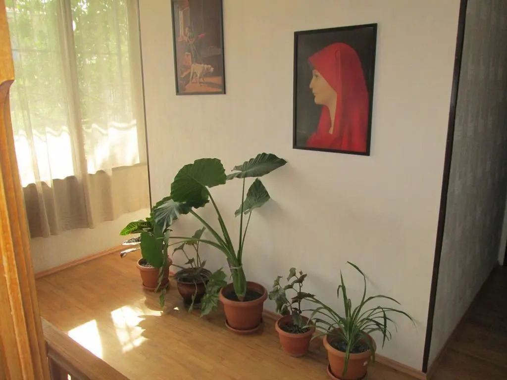 Hirmas boutique hotel