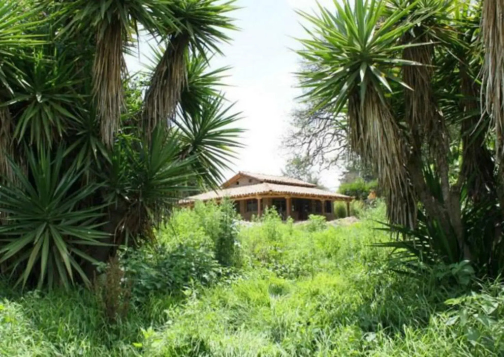Cabañas La Tierra Grande