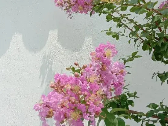 Yumo Boutique Guesthouse