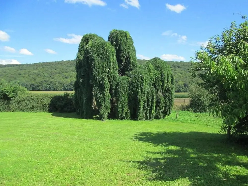 Apartment With one Bedroom and spa in Gézier-et-fontenelay, With Wonde