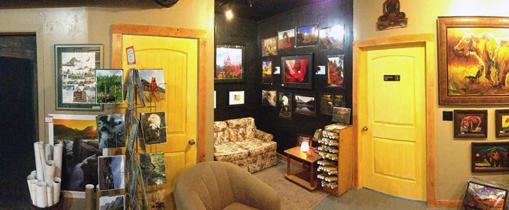 Sky Eco - Cabins & Studios