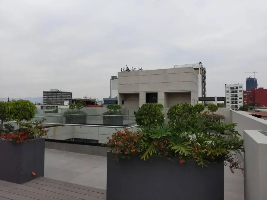New Beautiful apartment near Reforma