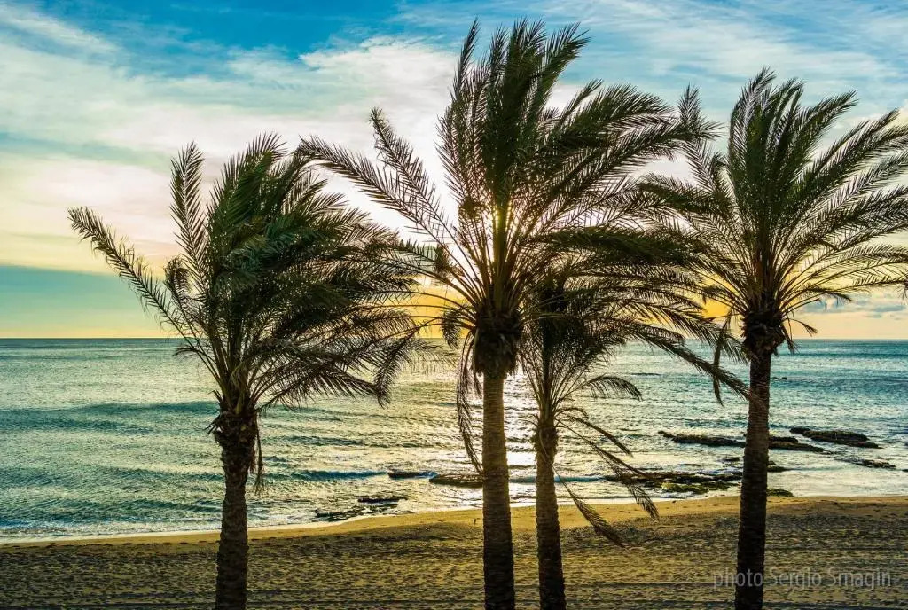 IRIS Nº 131 Benalmadena