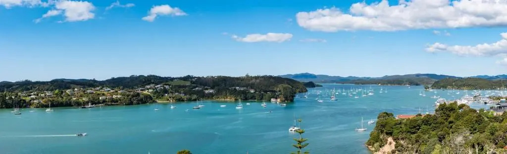 Marina Cove Bay of Islands