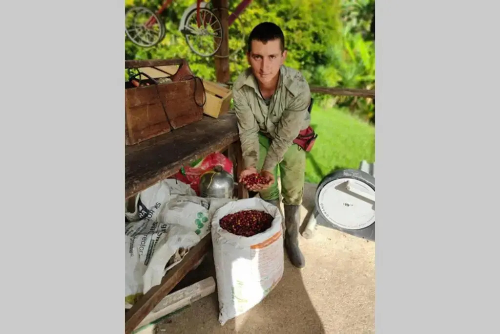 Finca La Antigua. finca tradicional Cafetera