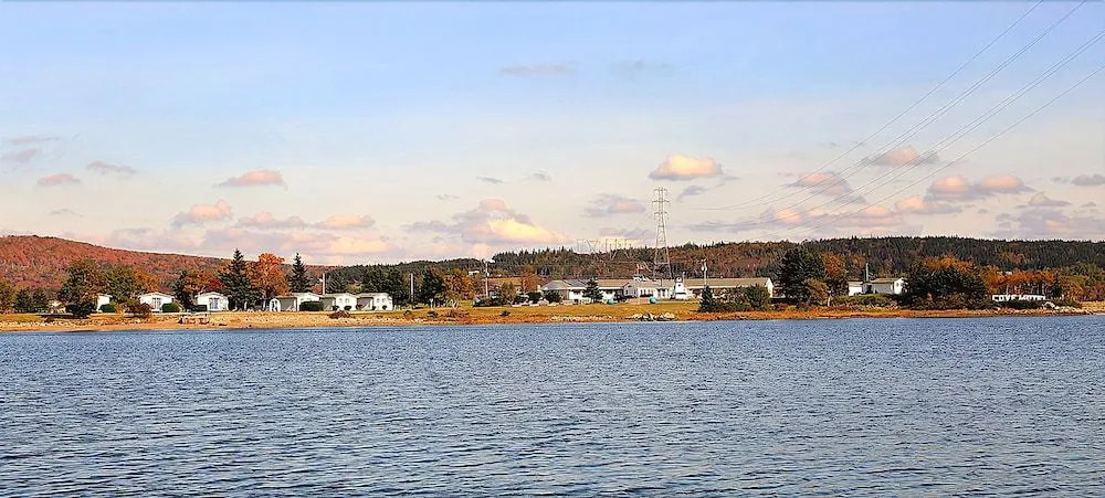 The Cove