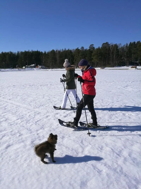 Santalahti Resort Cottages & Villas