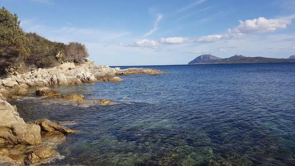 Appartamento a Porto Rotondo - VILLAGGIO PUNTA VOLPE - IUN S5393