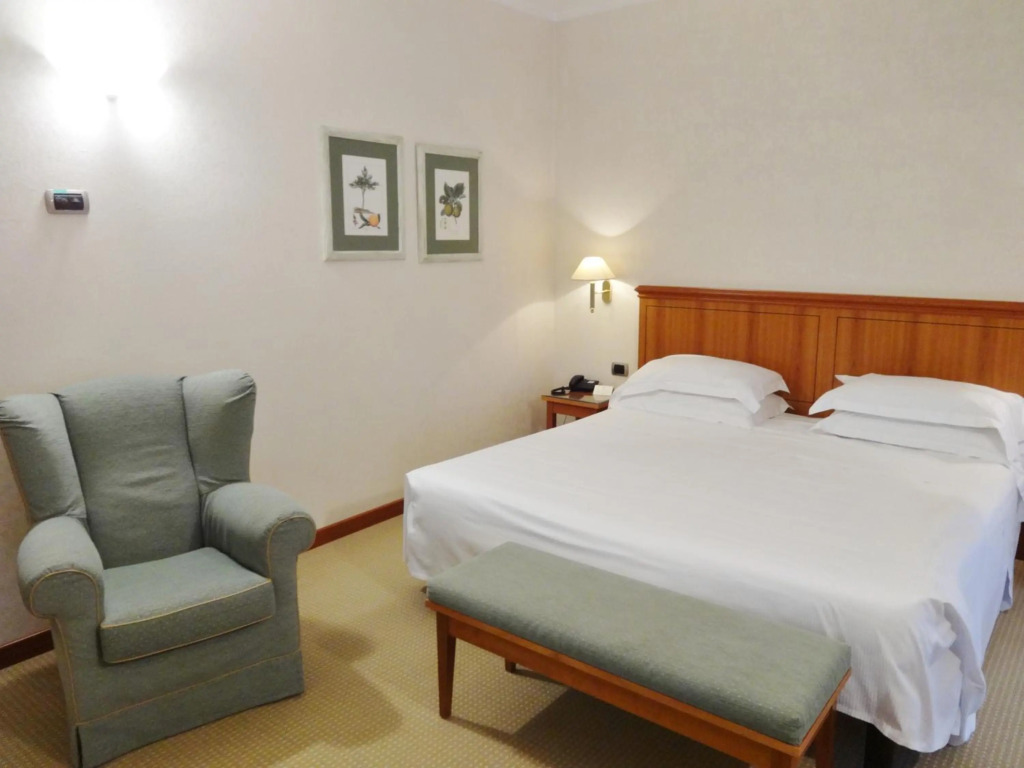 Hotel Excelsior Magenta