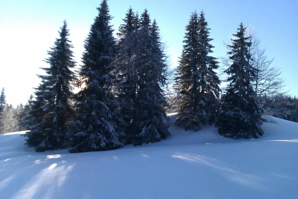 Chalet Daria