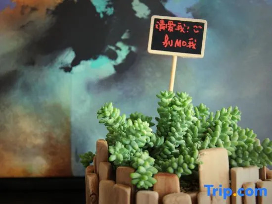 Xian · Shanshe Boutique Holiday Hostel