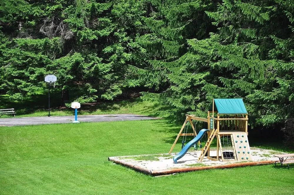 Piney Bear Cabin