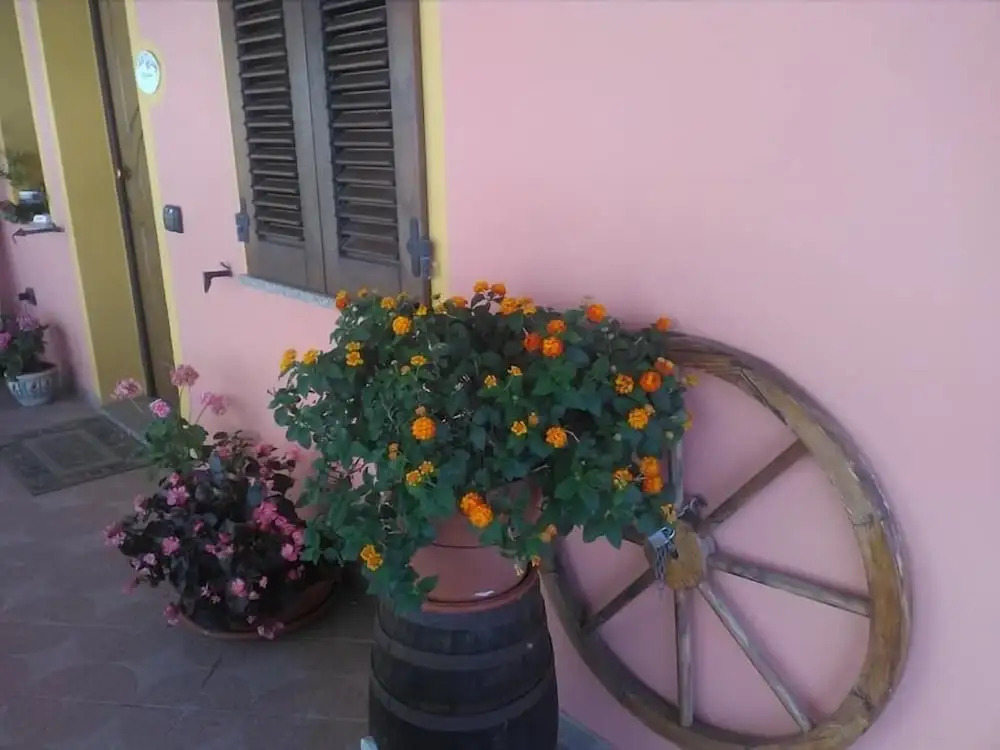 B&B Tatti