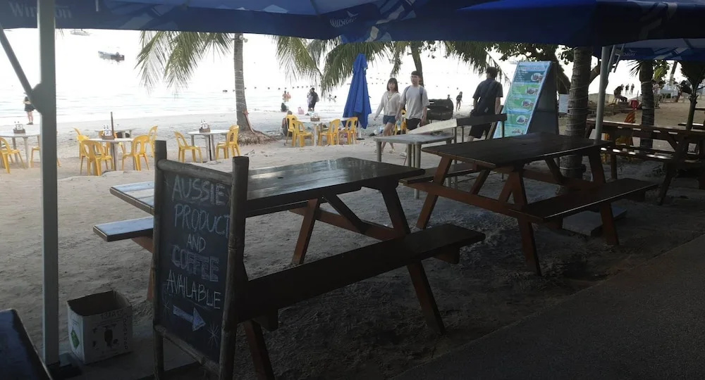 birdwatchers beachfront hotel panglao