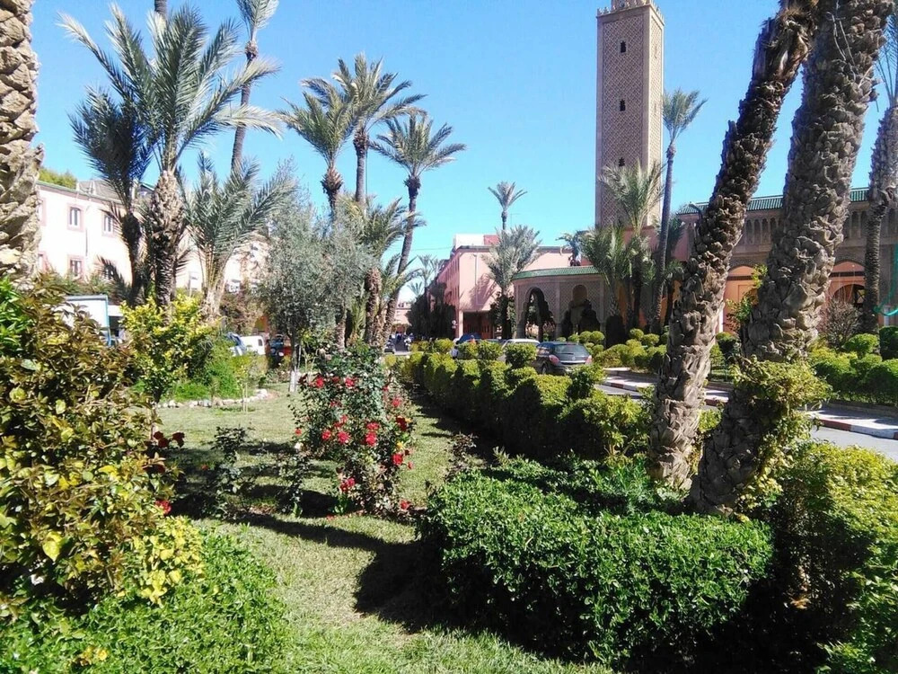 Riad Ansar