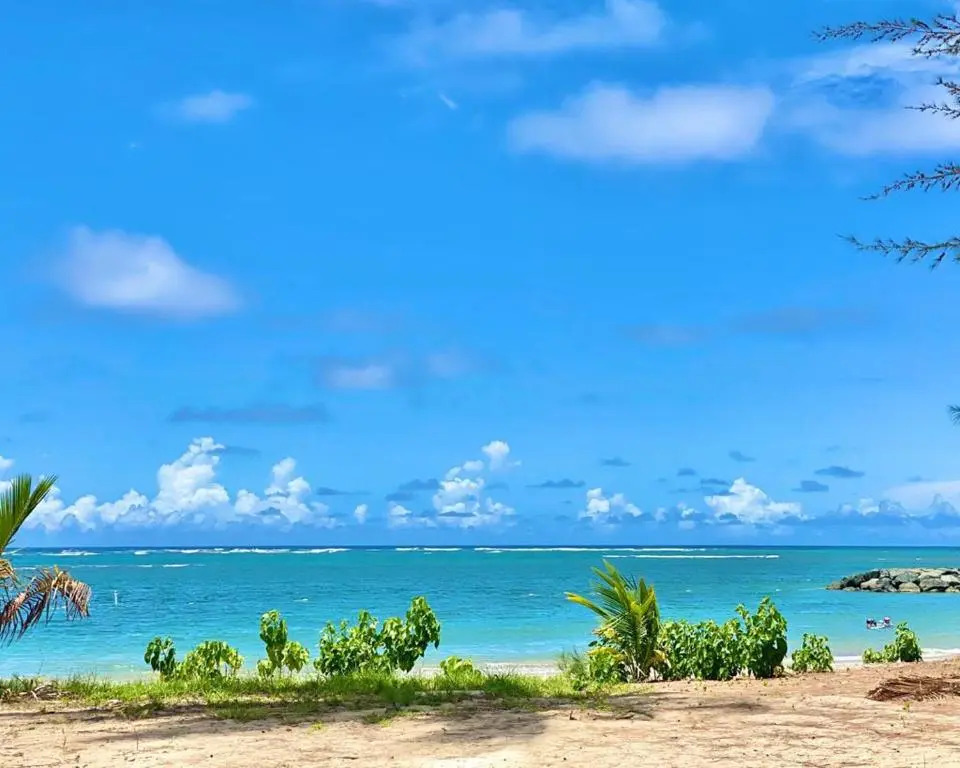 Tropical Breeze 2 Bed 2 Bath