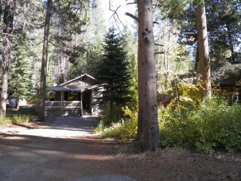 1347 Chinquapin