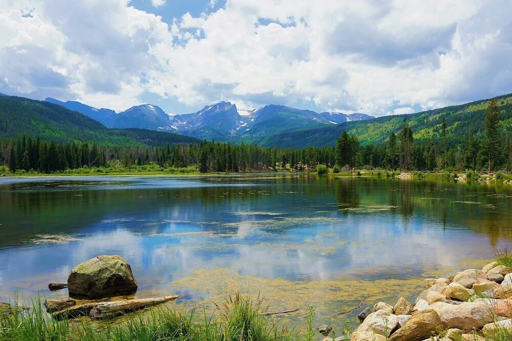 Casa Tierra Walk to Old Town via Poudre Trail