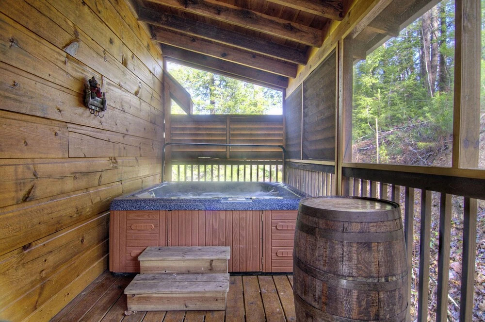 Bearly Country by Eagles Ridge Resort