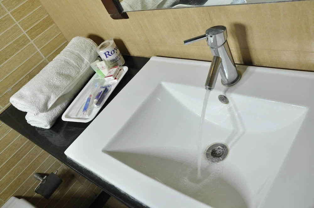 Hotel Shaans