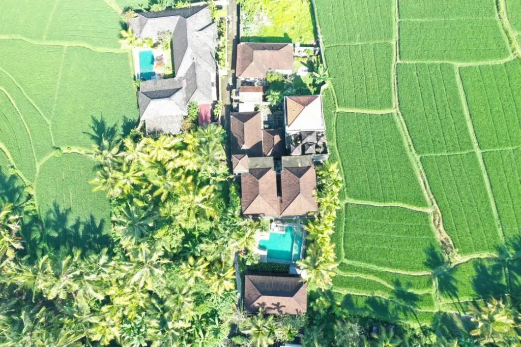 Bella Villas Ubud
