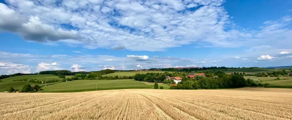 Gut Schwarz-n Hof Ferienwohnungen