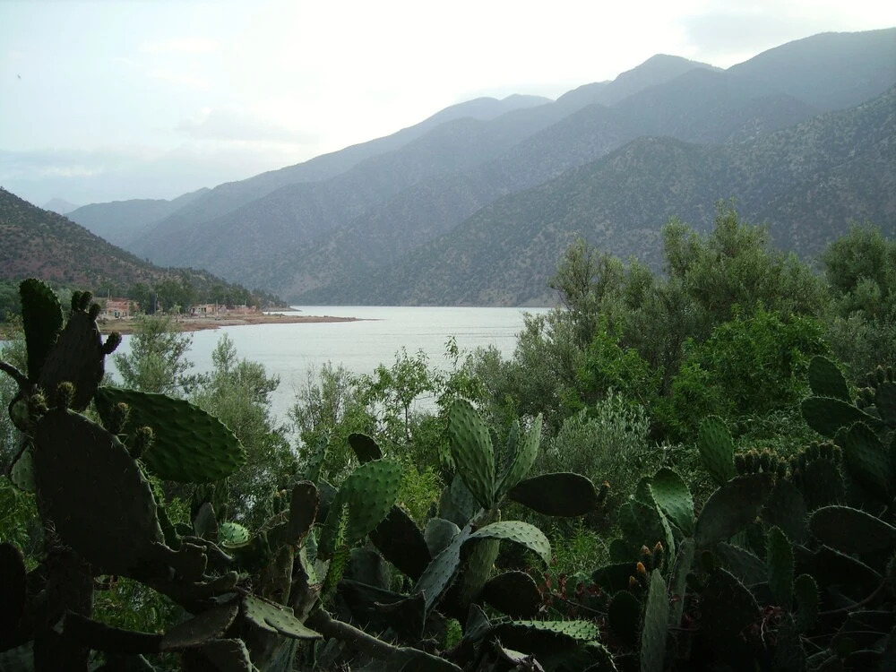 Le Ryad Tassoukte - Rental Gite Atlas Marrakech Ouirgane