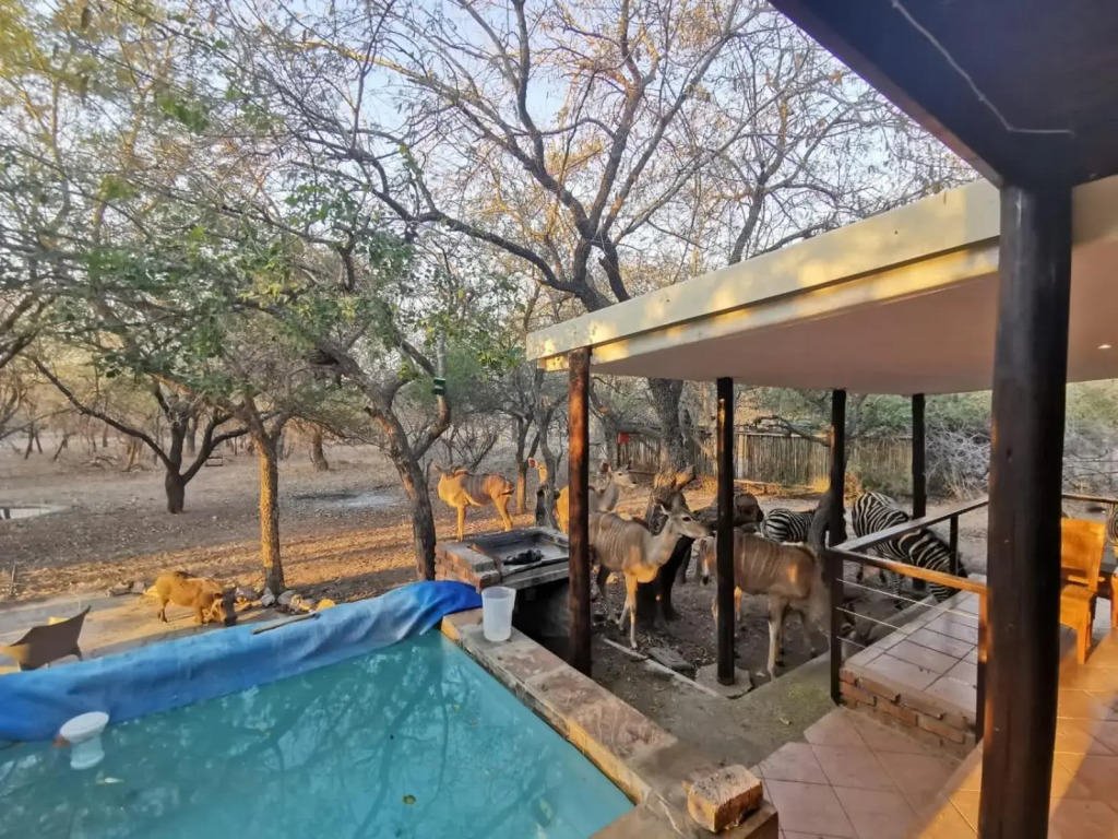 Mopani Villa