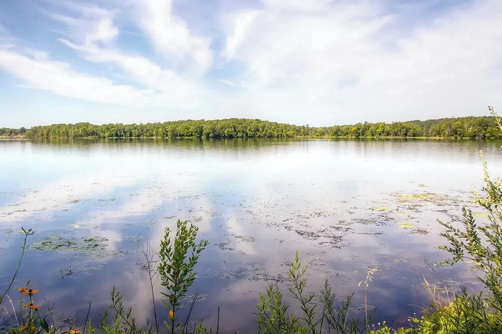 Lakefront Brainerd Cabin - Great Rice Lake Fishing
