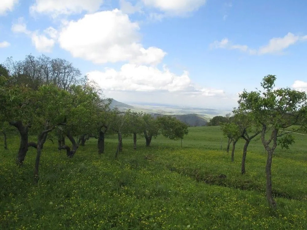 Masseria Salecchia