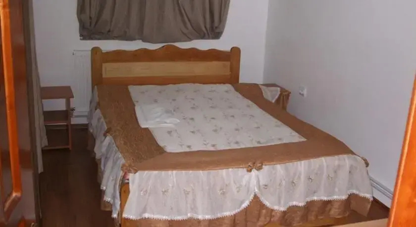 Pensiunea 3 Fantani