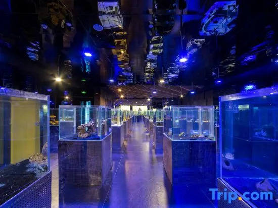 Sanya Ocean Exploration World Conference Training Center