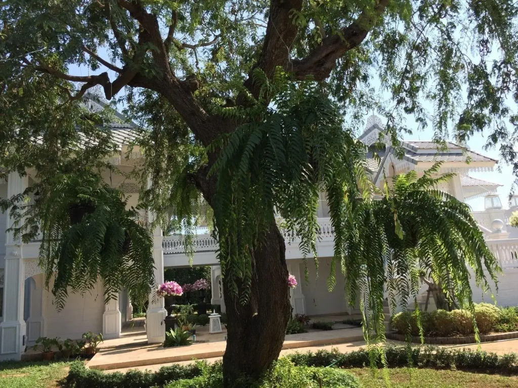 NirvaNAN House